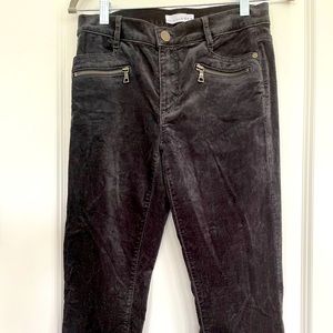 Ann Taylor LOFT gray/blue velvet skinny pants